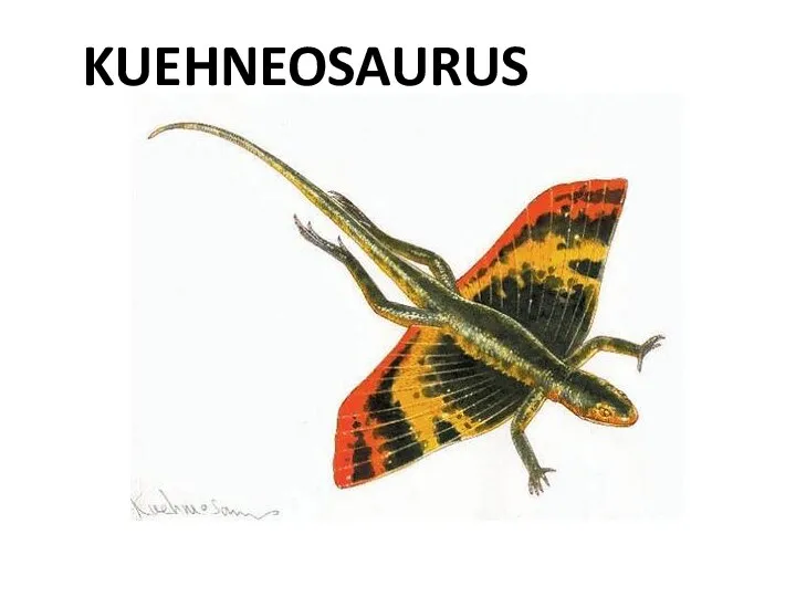 KUEHNEOSAURUS