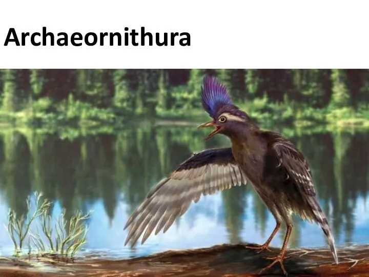 Archaeornithura