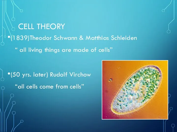 CELL THEORY (1839)Theodor Schwann & Matthias Schleiden “ all living things are