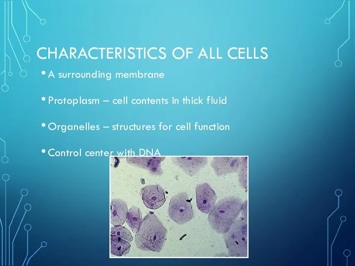 CHARACTERISTICS OF ALL CELLS A surrounding membrane Protoplasm – cell contents in