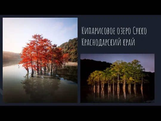 Кипарисовое озеро Сукко Краснодарский край