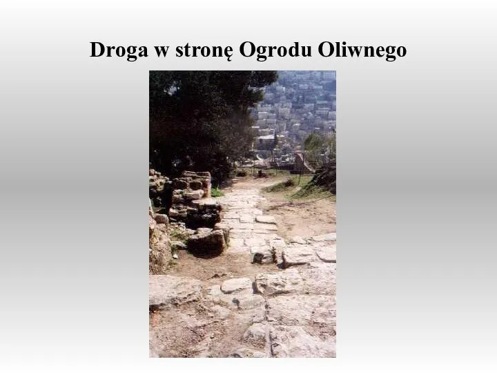 Droga w stronę Ogrodu Oliwnego