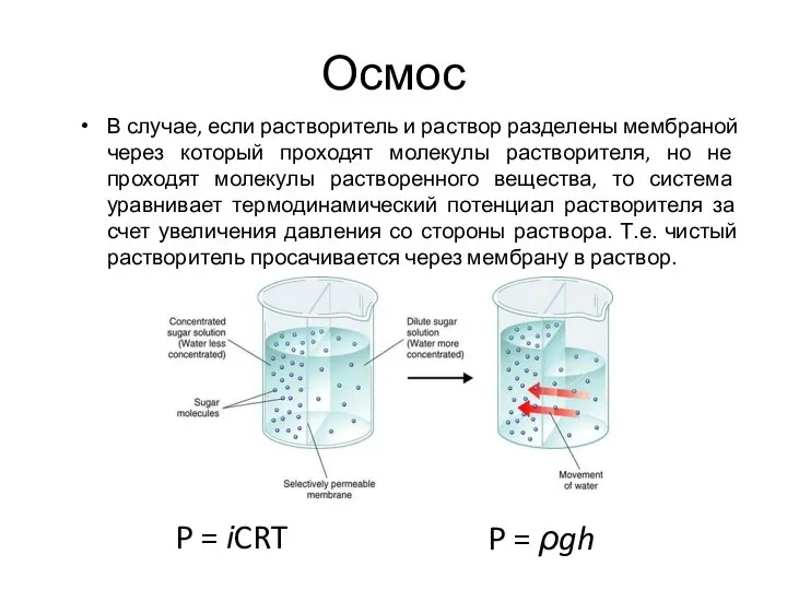 Осмос В случае, если растворитель и раствор разделены мембраной через который проходят