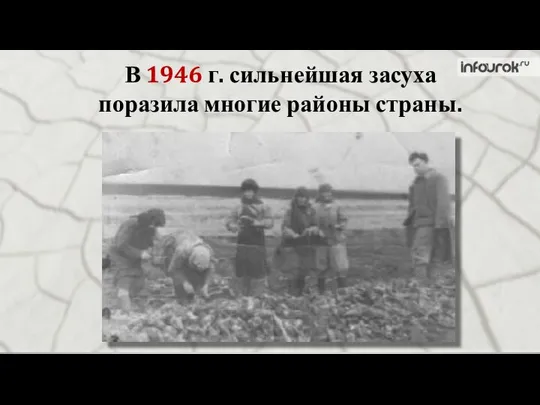 В 1946 г. сильнейшая засуха поразила многие районы страны.