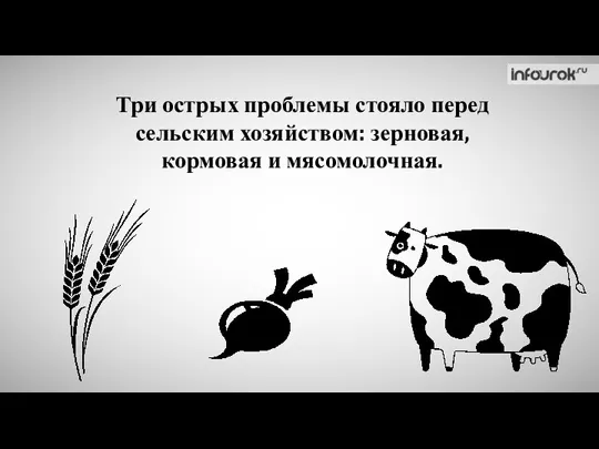 Три острых проблемы стояло перед сельским хозяйством: зерновая, кормовая и мясомолочная.