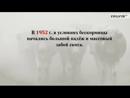 В 1952 г. в условиях бескормицы начались большой падёж и массовый забой скота.