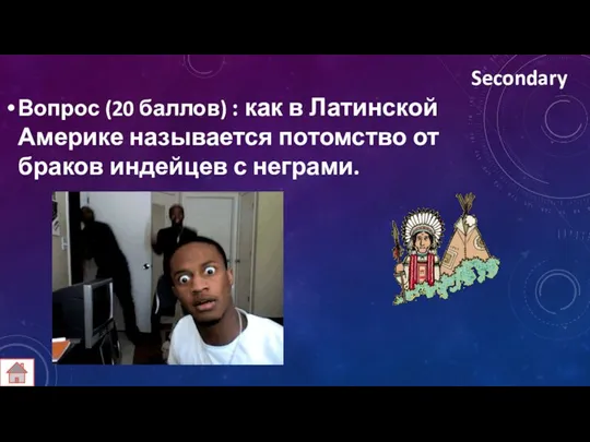 Secondary Вопрос (20 баллов) : как в Латинской Америке называется потомство от браков индейцев с неграми.