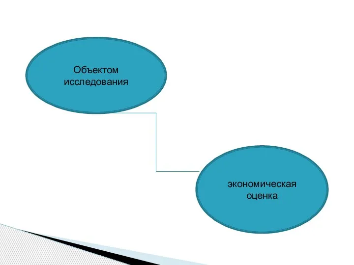 Объектом исследования экономическая оценка