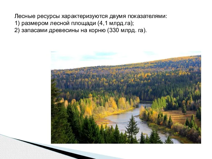 Лесные ресурсы характеризуются двумя показателями: 1) размером лесной площади (4,1 млрд.га); 2)