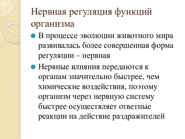 Нервная регуляция функций организма В процессе эволюции животного мира развивалась более совершенная