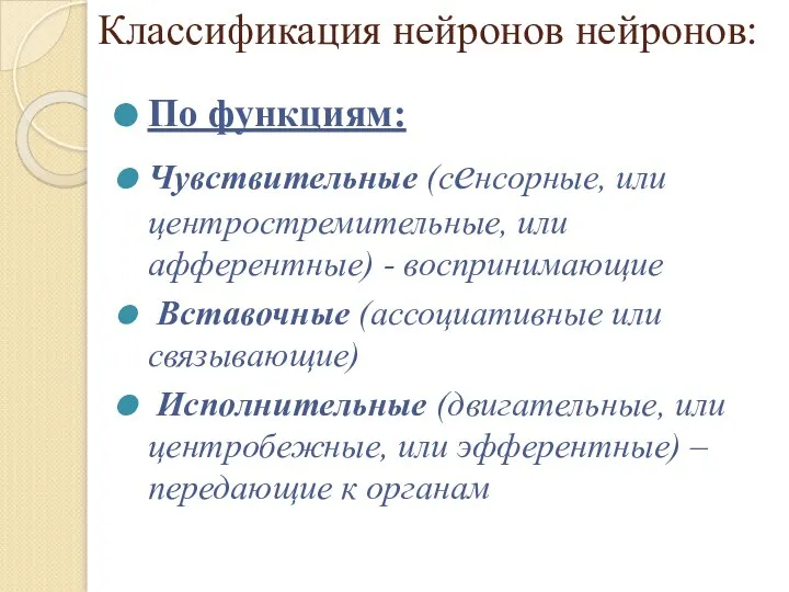 Классификация нейронов нейронов: По функциям: Чувствительные (сенсорные, или центростремительные, или афферентные) -