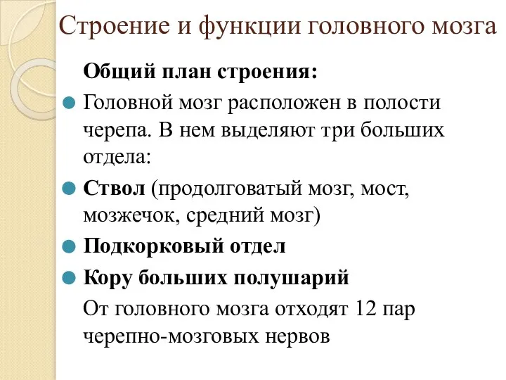 Строение и функции головного мозга Общий план строения: Головной мозг расположен в