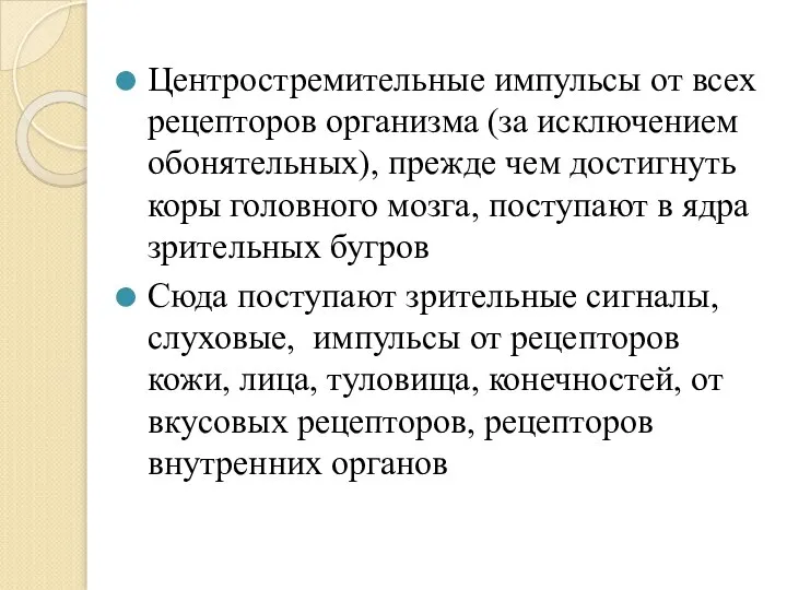 Центростремительные импульсы от всех рецепторов организма (за исключением обонятельных), прежде чем достигнуть