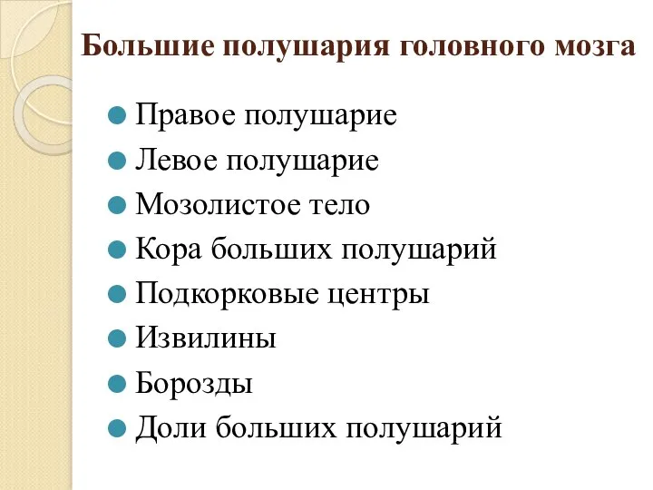 Большие полушария головного мозга Правое полушарие Левое полушарие Мозолистое тело Кора больших