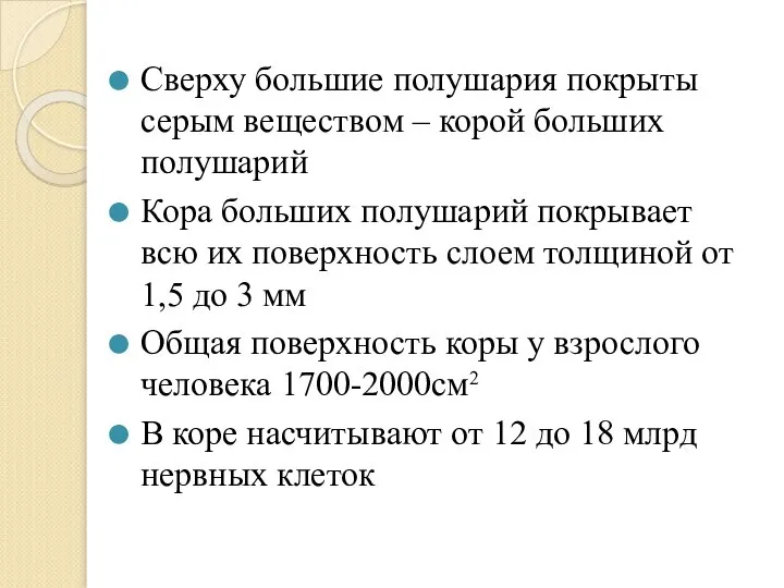 Сверху большие полушария покрыты серым веществом – корой больших полушарий Кора больших