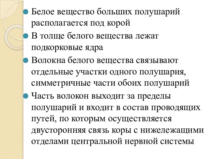 Белое вещество больших полушарий располагается под корой В толще белого вещества лежат