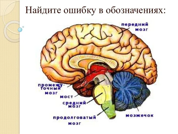 Найдите ошибку в обозначениях: