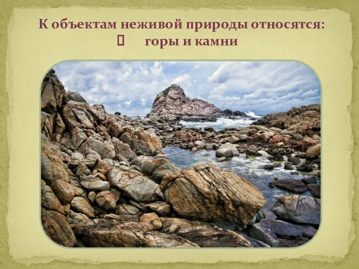 К объектам неживой природы относятся: горы и камни