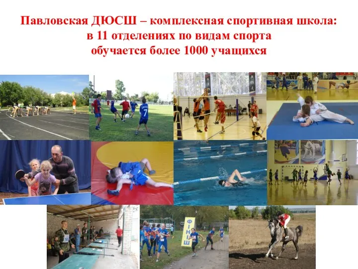 Павловская ДЮСШ – комплексная спортивная школа: в 11 отделениях по видам спорта обучается более 1000 учащихся