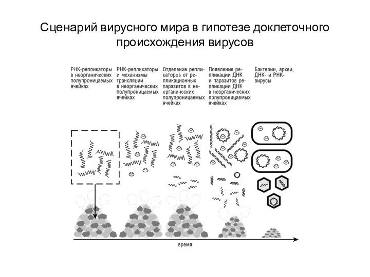 Сценарий вирусного мира в гипотезе доклеточного происхождения вирусов