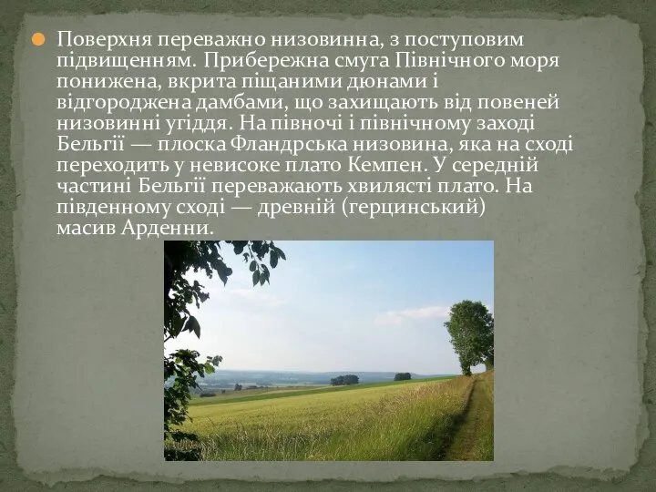 Поверхня переважно низовинна, з поступовим підвищенням. Прибережна смуга Північного моря понижена, вкрита