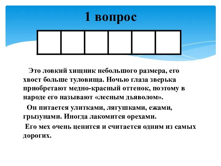 Это ловкий хищник небольшого размера, его хвост больше туловища. Ночью глаза зверька