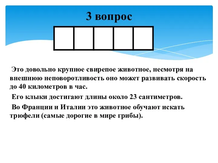 Это довольно крупное свирепое животное, несмотря на внешнюю неповоротливость оно может развивать