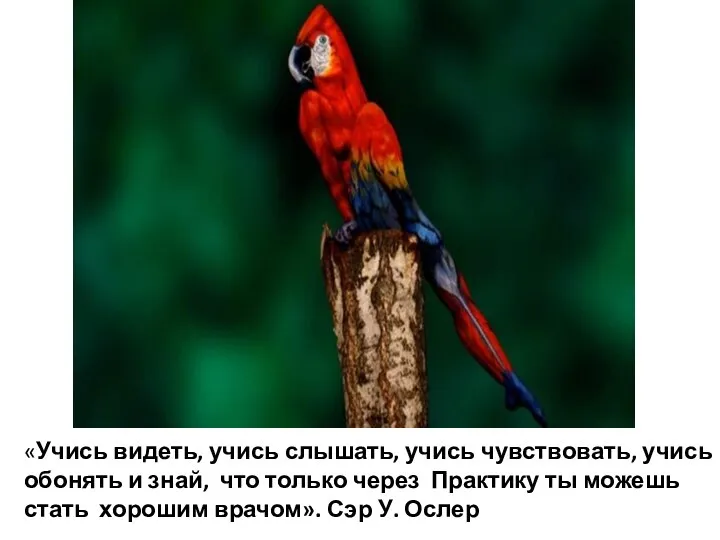 «Учись видеть, учись слышать, учись чувствовать, учись обонять и знай, что только