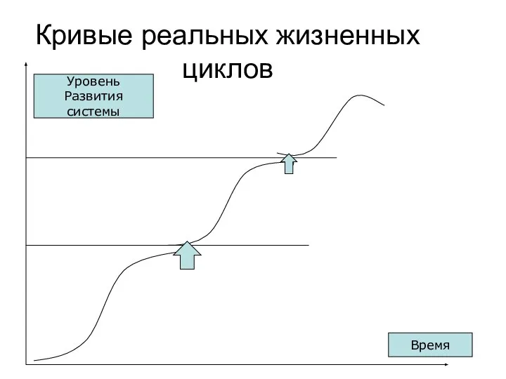 Кривые реальных жизненных циклов