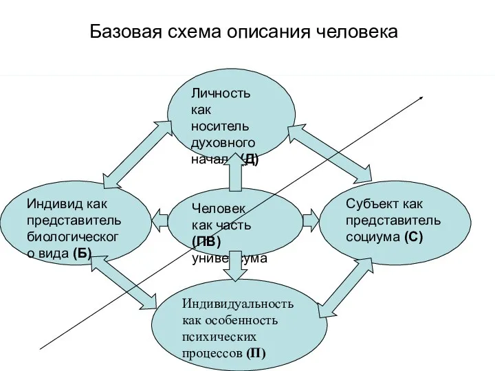 Базовая схема описания человека