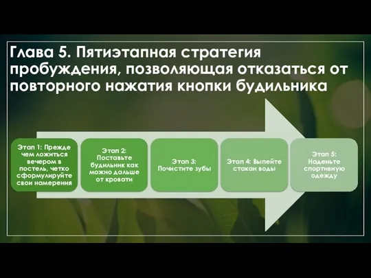 Глава 5. Пятиэтапная стратегия пробуждения, позволяющая отказаться от повторного нажатия кнопки будильника