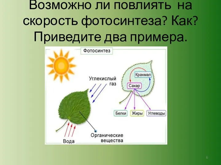 Возможно ли повлиять на скорость фотосинтеза? Как? Приведите два примера.