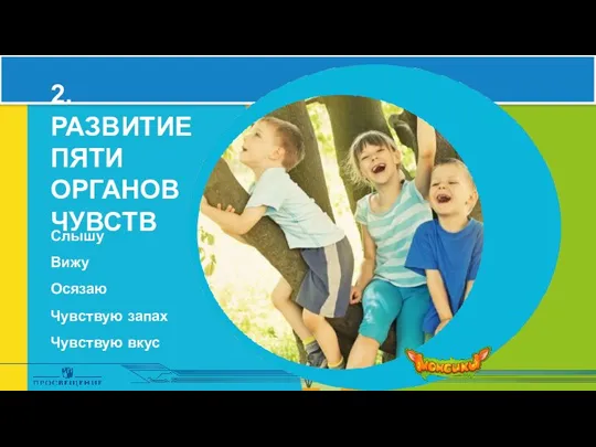 2. РАЗВИТИЕ ПЯТИ ОРГАНОВ ЧУВСТВ Слышу Вижу Осязаю Чувствую запах Чувствую вкус