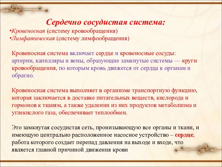 Сердечно сосудистая система: Кровеносная (систему кровообращения) Лимфатическая (систему лимфообращения) Кровеносная система включает