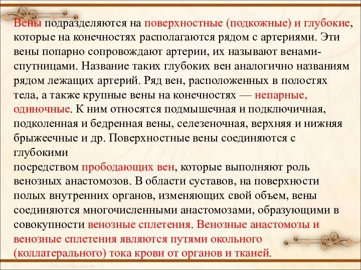 Вены подразделяются на поверхностные (подкожные) и глубокие, которые на конечностях располагаются рядом