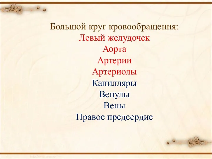 Большой круг кровообращения: Левый желудочек Аорта Артерии Артериолы Капилляры Венулы Вены Правое предсердие