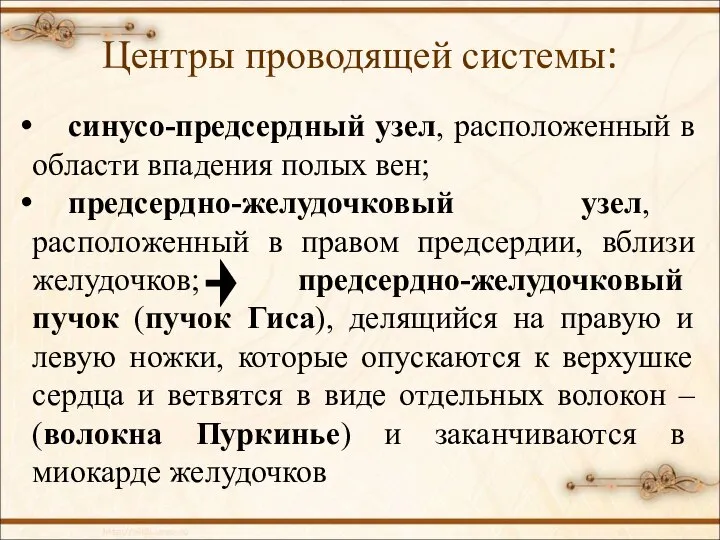 Центры проводящей системы: синусо-предсердный узел, расположенный в области впадения полых вен; предсердно-желудочковый