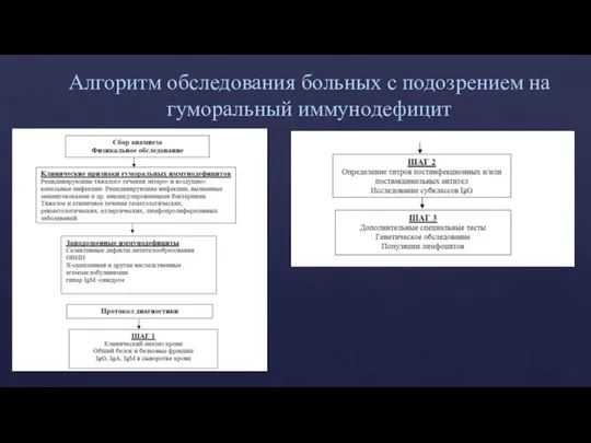 Алгоритм обследования больных с подозрением на гуморальный иммунодефицит