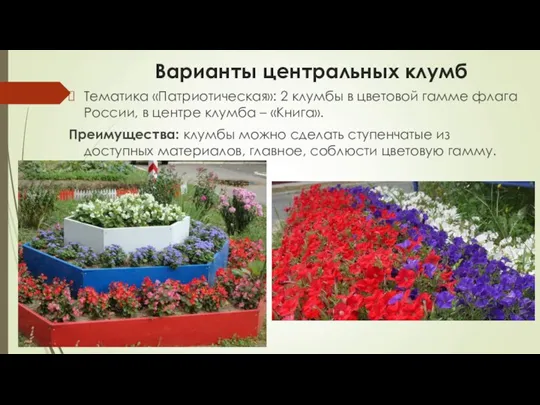 Варианты центральных клумб Тематика «Патриотическая»: 2 клумбы в цветовой гамме флага России,