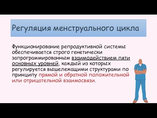 Регуляция менструального цикла Функционирование репродуктивной системы обеспечивается строго генетически запрограммированным взаимодействием пяти