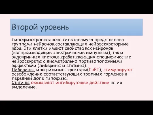 Второй уровень Гипофизотропная зона гипоталамуса представлена группами нейронов,составляющих нейросекреторные ядра. Эти клетки