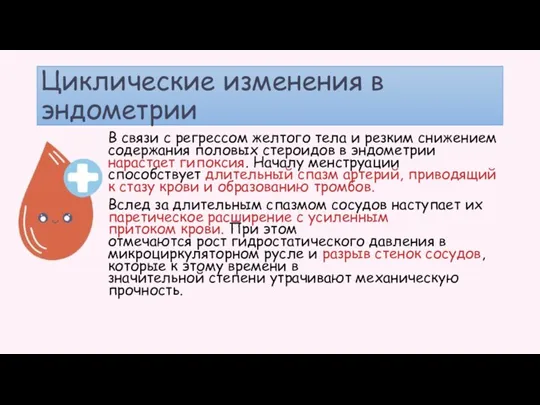 Циклические изменения в эндометрии В связи с регрессом желтого тела и резким