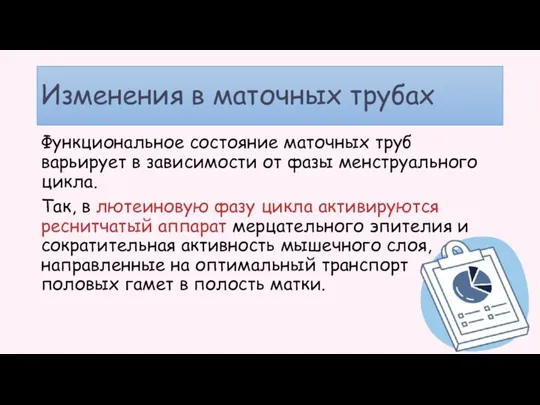 Изменения в маточных трубах Функциональное состояние маточных труб варьирует в зависимости от