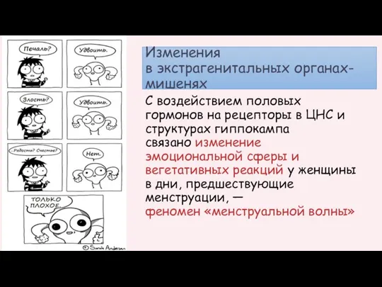 Изменения в экстрагенитальных органах-мишенях С воздействием половых гормонов на рецепторы в ЦНС