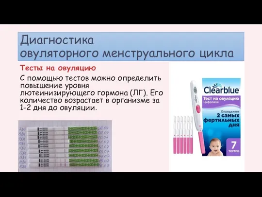 Диагностика овуляторного менструального цикла Тесты на овуляцию С помощью тестов можно определить