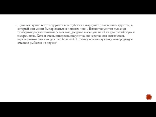 Лужанок лучше всего содержать в неглубоких аквариумах с заиленным грунтом, в который