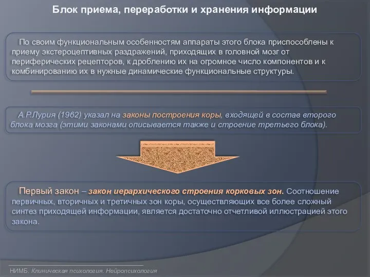 Блок приема, переработки и хранения информации По своим функциональным особенностям аппараты этого