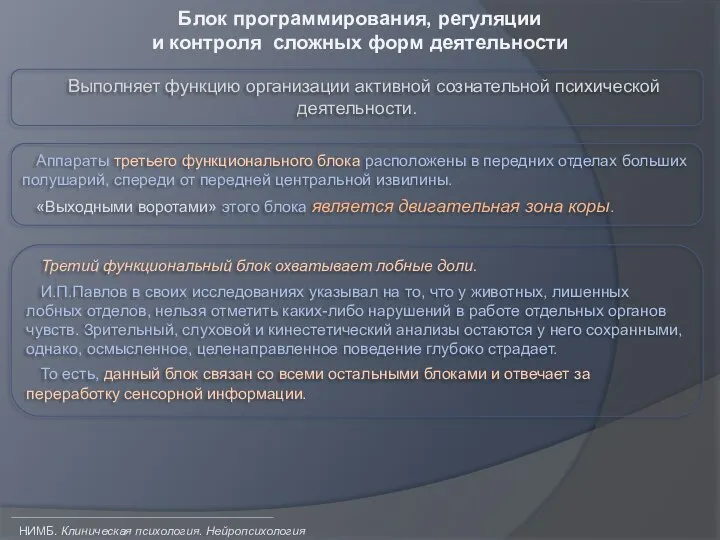 НИМБ. Клиническая психология. Нейропсихология Блок программирования, регуляции и контроля сложных форм деятельности