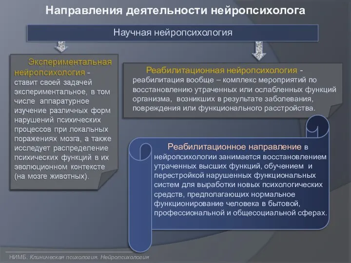 НИМБ. Клиническая психология. Нейропсихология Направления деятельности нейропсихолога Научная нейропсихология Реабилитационное направление в