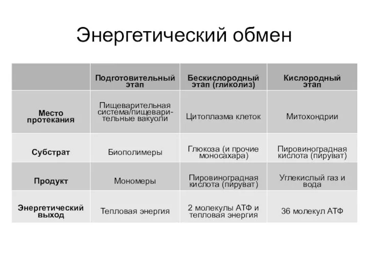 Энергетический обмен